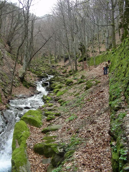 Escursione sull''Appenino Tosco/Emiliano